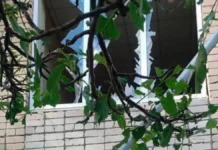Через обстріл у Комишанах на Херсонщині пошкоджені приватні будинки та адміністративна будівля. ФОТО