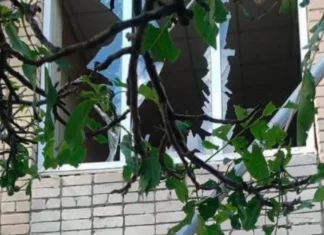 Через обстріл у Комишанах на Херсонщині пошкоджені приватні будинки та адміністративна будівля. ФОТО