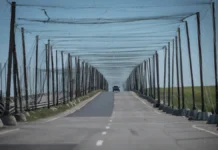 У Херсонській області облаштували понад 207 кілометрів антидронового захисту