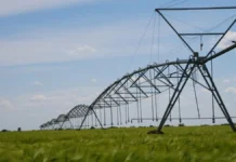 Цьогоріч на Херсонщині планують збільшити площі зрошення до 5 тисяч гектарів