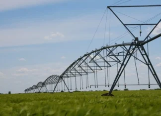 Цьогоріч на Херсонщині планують збільшити площі зрошення до 5 тисяч гектарів