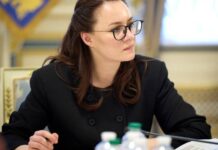Украина готова направить в Литву военных экспертов для поддержания возможностей в защите воздушного пространства – Свириденко