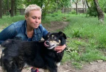 В Одесі шукають родини для собак із Херсона, врятованих після підриву Каховської ГЕС