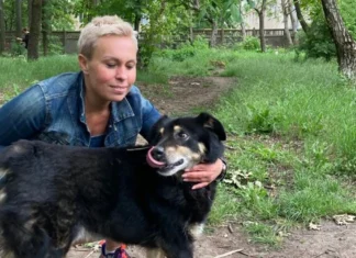 В Одесі шукають родини для собак із Херсона, врятованих після підриву Каховської ГЕС
