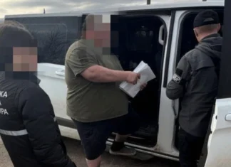 Понад 2200 дерев вирубали незаконно: на Херсонщині судитимуть трьох посадовців