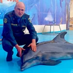 Жителя Скадовська засудили до 15 років тюрми за керівництво окупаційною пожежною частиною