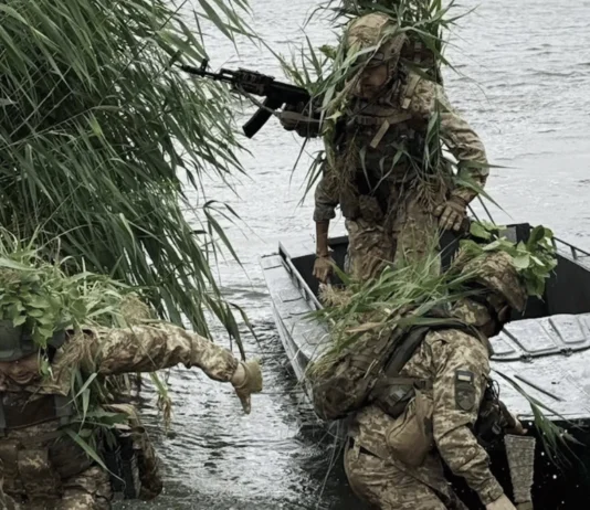 Командир морпіхів: головні зусилля окупантів зосереджені на острівній зоні у гирлі Дніпра