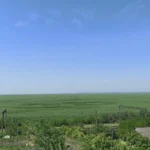 Великий Луг втрачений назавжди, натомість виникає нова екосистема — еколог