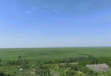 Великий Луг втрачений назавжди, натомість виникає нова екосистема — еколог