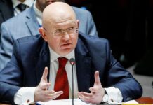 «Неуклюжая провокация»: Небензя в ООН раскритиковал письмо Зеленского и озвучил повод отказа от переговоров