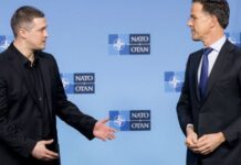 Федоров и Рютте скоординировали приоритеты перед очередным заседанием «Рамштайн»