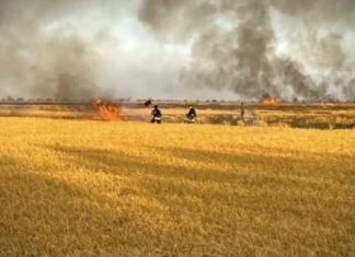Російські військові продовжують атакувати фермерські господарства Херсонщини
