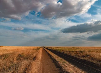 Антонівський міст, плавні та запах степу: без чого було складно уявити Херсонщину
