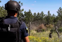 Піротехніки ДСНС Херсонщини для розмінування лісу використовують роботизований комплекс. ВІДЕО. ФОТО