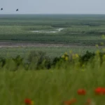 Великий Луг хочуть внести до списку всесвітньої спадщини ЮНЕСКО