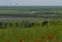 Великий Луг хочуть внести до списку всесвітньої спадщини ЮНЕСКО