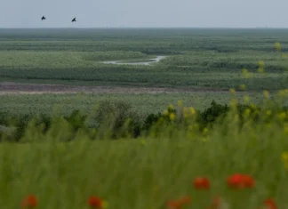 Великий Луг хочуть внести до списку всесвітньої спадщини ЮНЕСКО