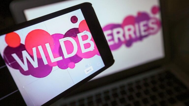 Удар по складам Wildberries может нанести России гораздо больший ущерб, чем 1,2 млрд долларов — аналитик