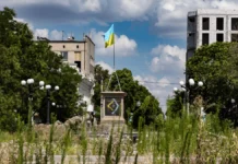 У Херсоні розслідують можливе привласнення коштів під час ремонту скверу Михайла Грушевського