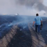 Жнива у вогні: як херсонські аграрії борються за врожай під атаками дронів