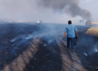 Жнива у вогні: як херсонські аграрії борються за врожай під атаками дронів