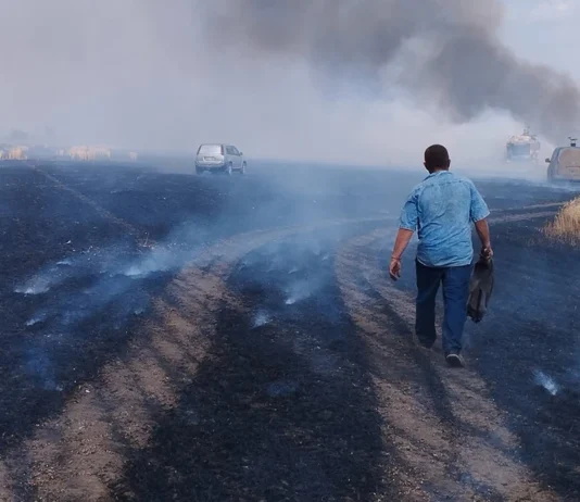 Жнива у вогні: як херсонські аграрії борються за врожай під атаками дронів