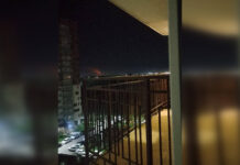 Воронеж под массированной атакой дронов: под ударом мог оказаться очередной логистический хаб Wildberries (видео)