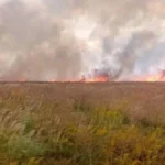 У заповіднику «Асканія-Нова» на Херсонщині за місяць пожежі знищили майже 4 тисячі гектарів