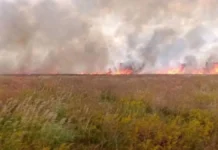 У заповіднику «Асканія-Нова» на Херсонщині за місяць пожежі знищили майже 4 тисячі гектарів