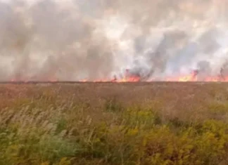У заповіднику «Асканія-Нова» на Херсонщині за місяць пожежі знищили майже 4 тисячі гектарів