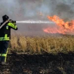 Через удари російських дронів у Бериславському районі Херсонщини вигоріло 17 гектарів пшениці. ФОТО. ВІДЕО