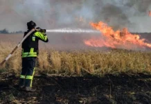 Через удари російських дронів у Бериславському районі Херсонщини вигоріло 17 гектарів пшениці. ФОТО. ВІДЕО