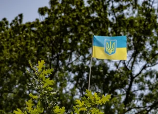 Росія продовжує блокувати повернення українських дітей, – Лубінець