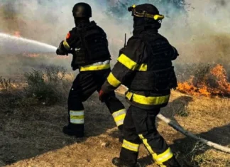 Рятувальники зафіксували 125 пожеж в екосистемах деокупованої Херсонщини від початку року