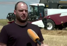 Суд зобов’язав фермера з окупованої Херсонщини повернути банку пів мільйона гривень