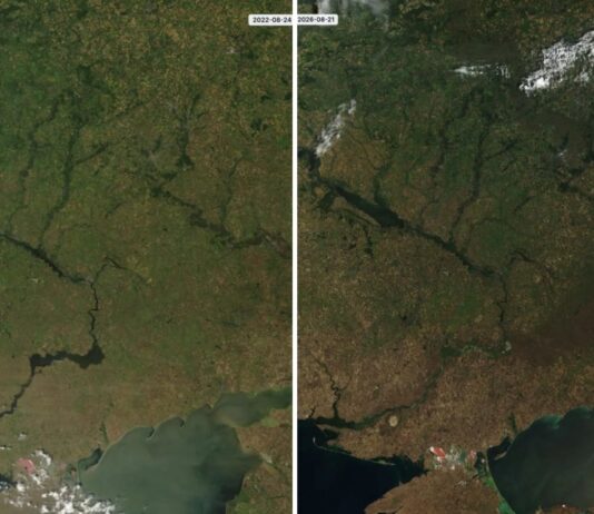 «Выжженная земля»: как с 2022 года изменился ландшафт Украины, где проходит линия фронта (спутниковые снимки)