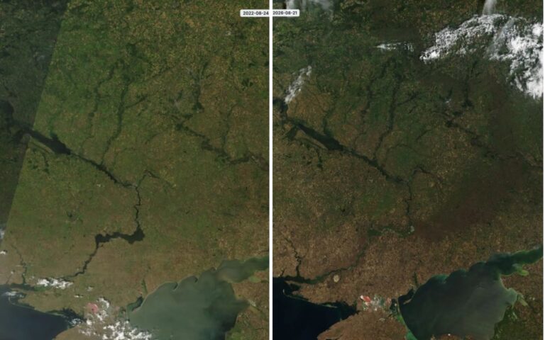 «Выжженная земля»: как с 2022 года изменился ландшафт Украины, где проходит линия фронта (спутниковые снимки)