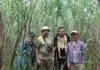 На дні колишнього Каховського водосховища формується найбільший рівновіковий ліс Європи