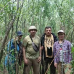 На дні колишнього Каховського водосховища формується найбільший рівновіковий ліс Європи