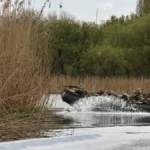 Знищення логістики РФ. У липні на Херсонщині не було штурмів окупаційних військ