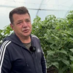 Фермер із Херсонщини вирощує овочі на Хмельниччині