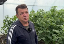 Фермер із Херсонщини вирощує овочі на Хмельниччині