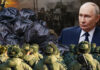 «Афганский сценарий»: масштабная мобилизация может обернуться ловушкой для Путина, — The Telegraph