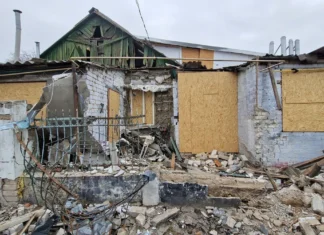 Через російські атаки від початку року загинули 28 жителів Бериславського району Херсонської області
