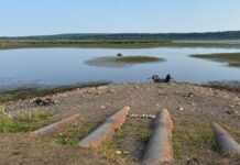Реки и водохранилища мелеют: в каких регионах Украины не хватает воды (видео)