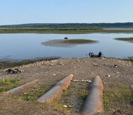 Реки и водохранилища мелеют: в каких регионах Украины не хватает воды (видео)