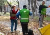 Херсонському КП передали понад 12 гектарів землі для утримання парків і скверів