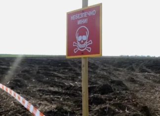 У Міжнародному Реєстрі збитків відкрили категорії заяв на компенсацію витрат на розмінування