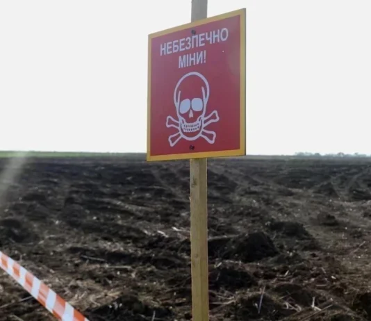 У Міжнародному Реєстрі збитків відкрили категорії заяв на компенсацію витрат на розмінування