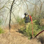 Понад 9 гектарів сухостою вигоріло за добу на Херсонщині. ФОТО